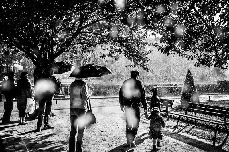 Foto Fragmentos do Mundo: O Nascimento do Projeto que Transforma a Natureza em Arte para a Sua Casa Foto Fragmentos do Mundo: O Nascimento do Projeto que Transforma a Natureza em Arte para a Sua Casa - Imagem 2