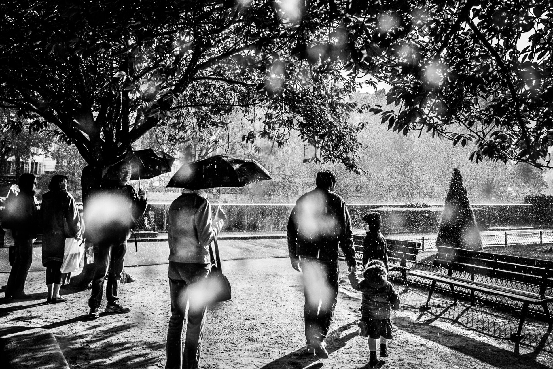 "Sob a chuva de Paris"